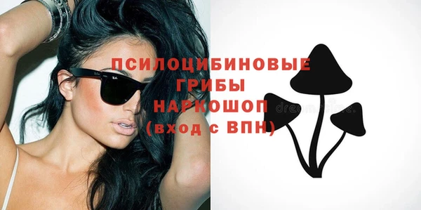 ПСИЛОЦИБИНОВЫЕ ГРИБЫ Протвино