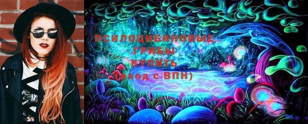 ПСИЛОЦИБИНОВЫЕ ГРИБЫ Протвино