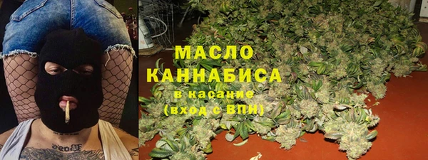крисы Заречный