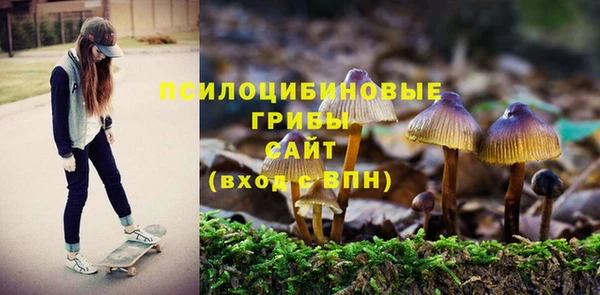 ПСИЛОЦИБИНОВЫЕ ГРИБЫ Протвино